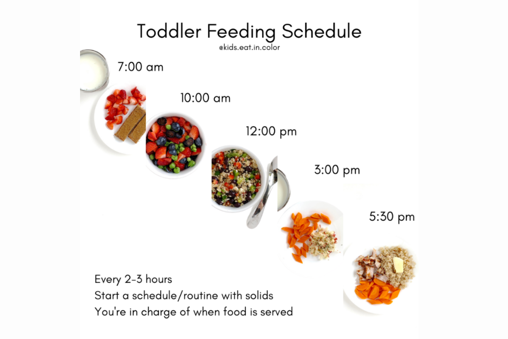 Toddler Schedule