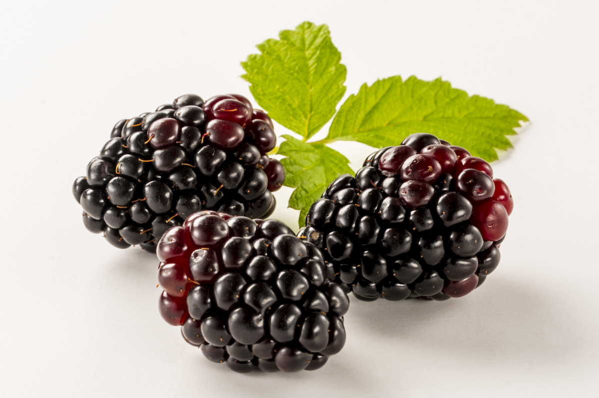 How to Help Your Child Learn to Eat Boysenberries