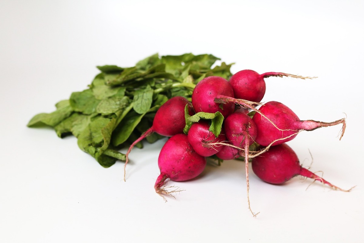 How To Teach Kids To Eat Radishes Picky Eaters Guide