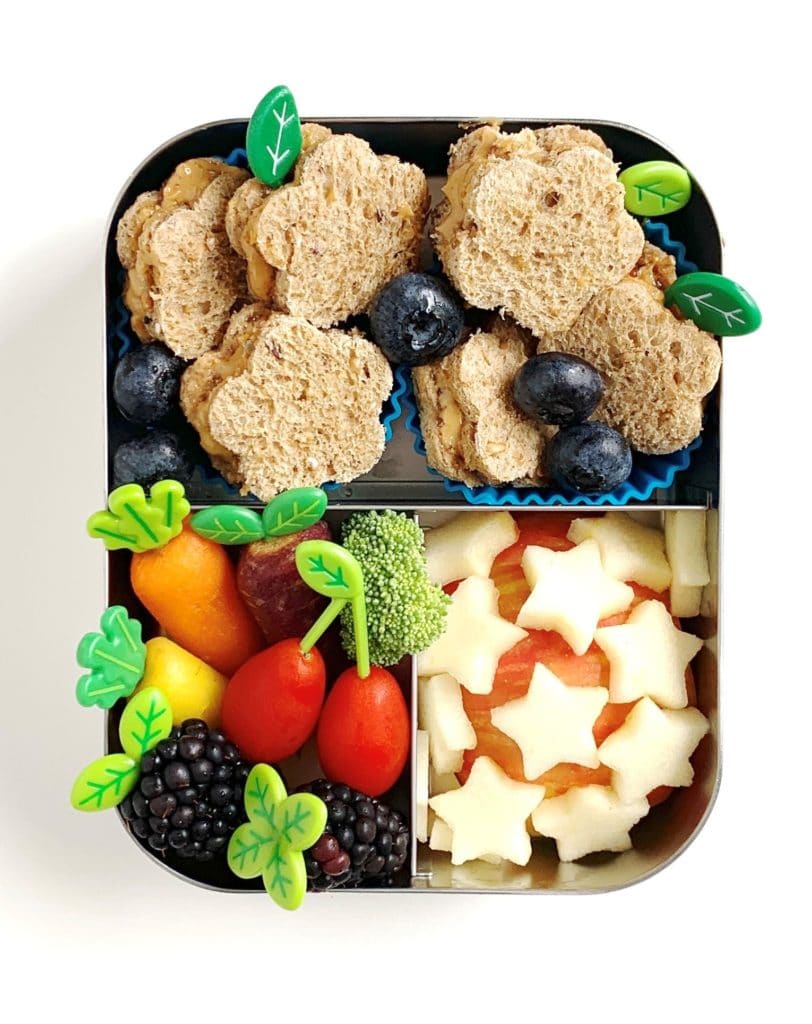 LunchBots Stainless-Steel Bento Boxes Review: Great Lunch Boxes for Kids