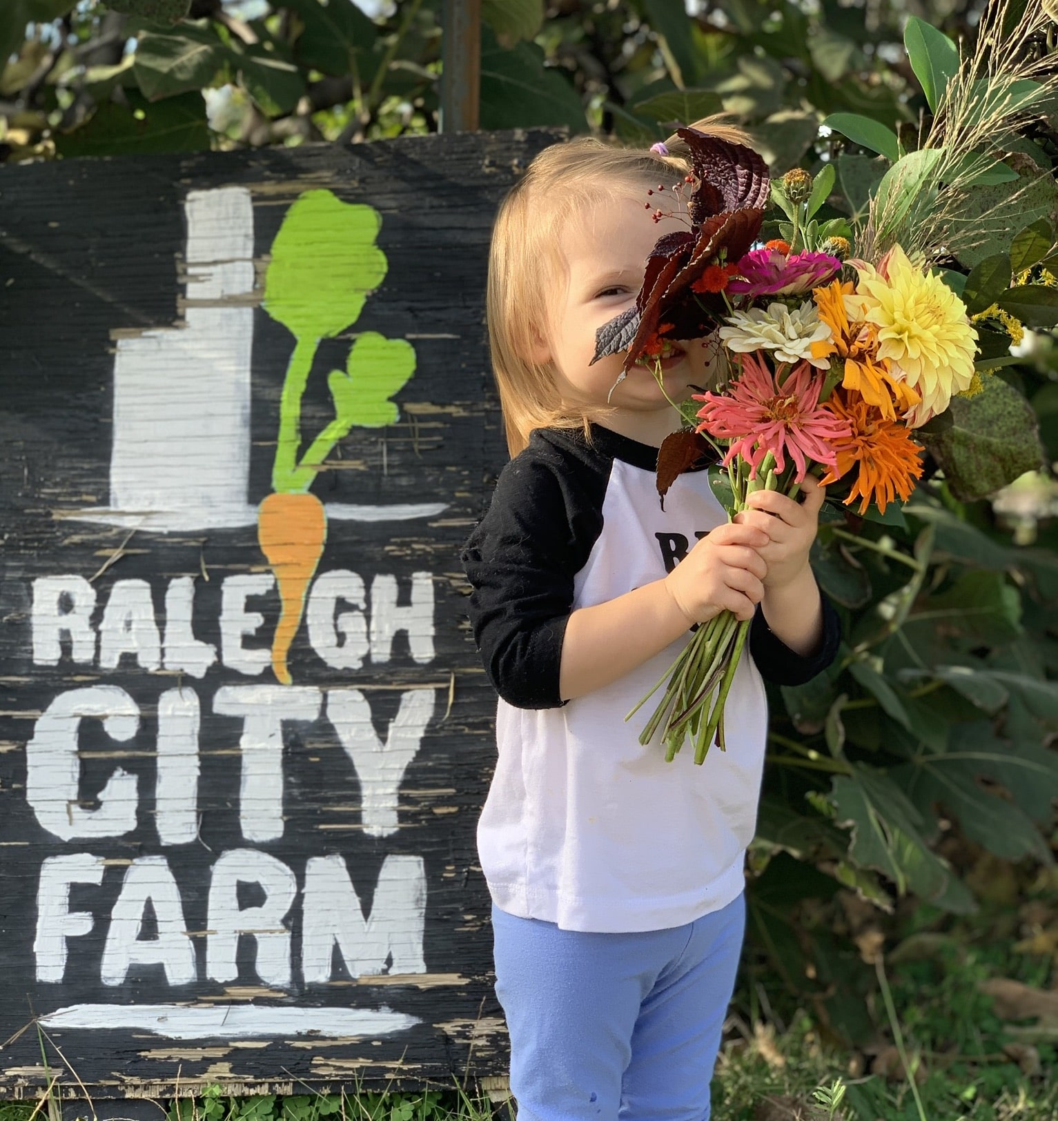 Small Urban Farm Making A Big Impact