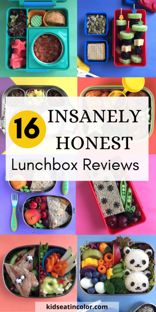16 Honest Reviews of the Most Popular Stainless Steel Lunchboxes - Kids Eat  in Color