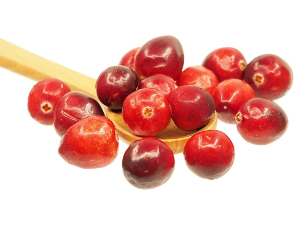 Cranberries in a wooden spoon
