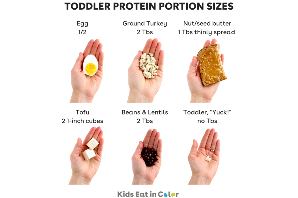 Protein portion sizes for toddlers