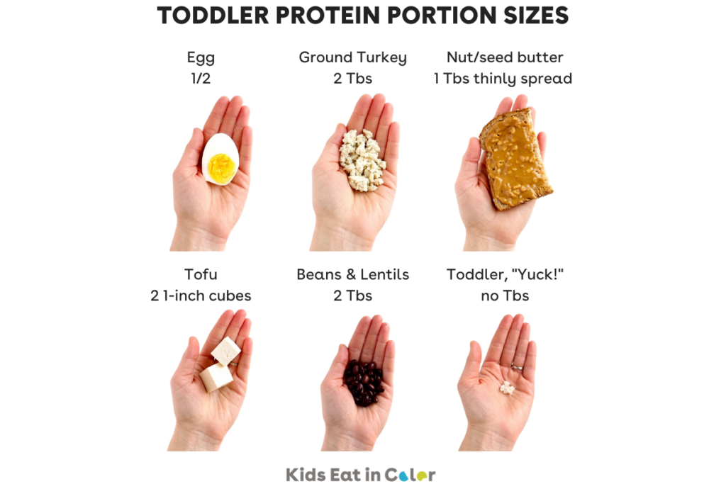 Protein For Kids Best Food Sources What s Too Much Kids Eat In Color