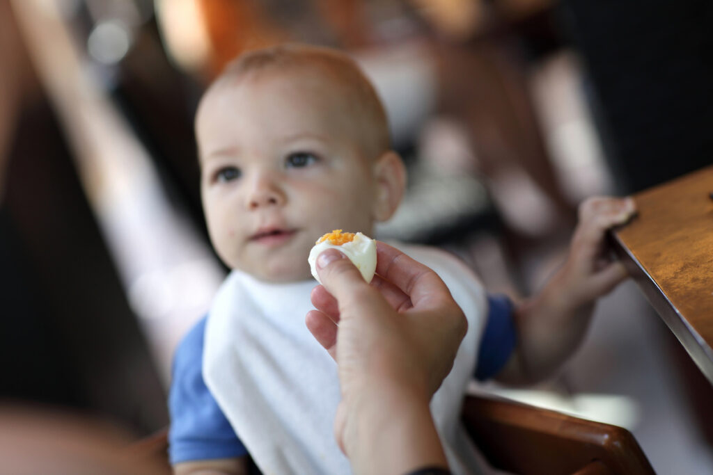 Baby sitting in high chair while parent offers hard-boiled egg