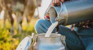 Is Raw Milk Safe + More About Raw Milk for Toddlers & Kids