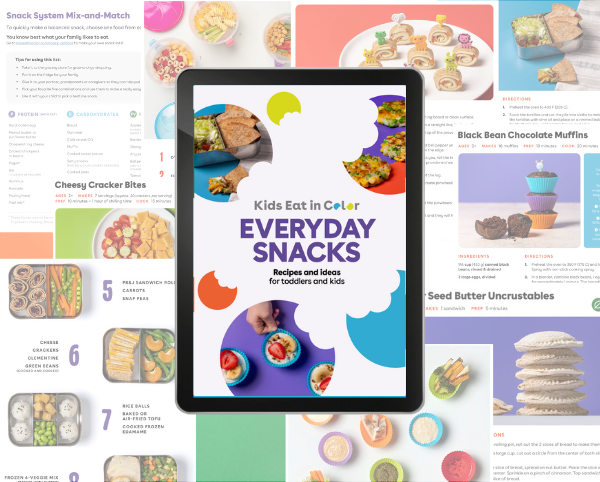 everyday snacks ebook cover