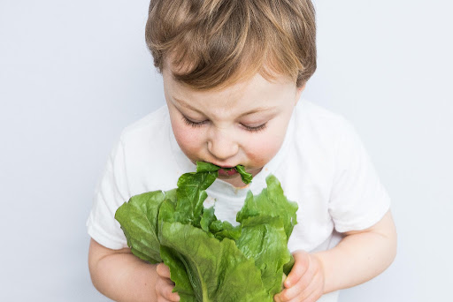boy eating lettuce