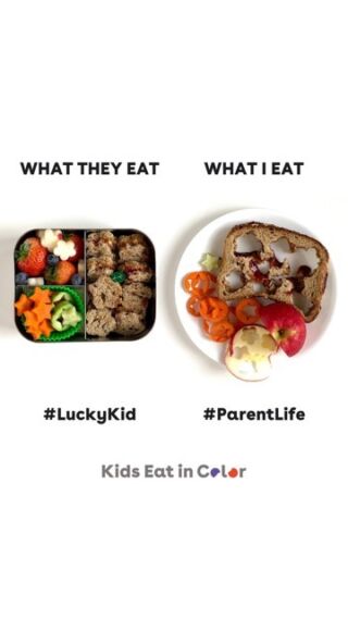 The Best Baby Food Grinder for Starting Solids - Kids Eat in Color
